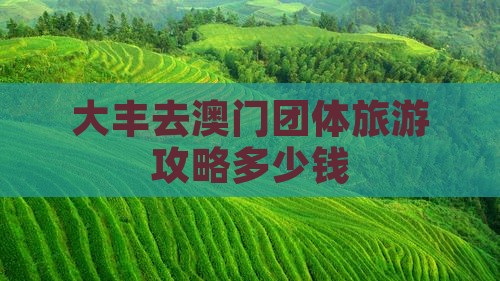 大丰去澳门团体旅游攻略多少钱