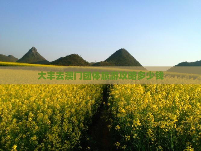 大丰去澳门团体旅游攻略多少钱