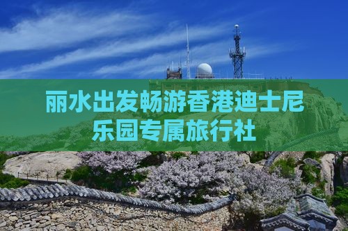 丽水出发畅游香港迪士尼乐园专属旅行社