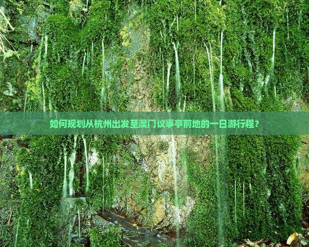 如何规划从杭州出发至澳门议事亭前地的一日游行程？
