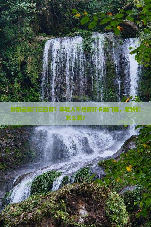 黔南去澳门三日游？年轻人不熬夜打卡澳门塔，老铁们怎么看？