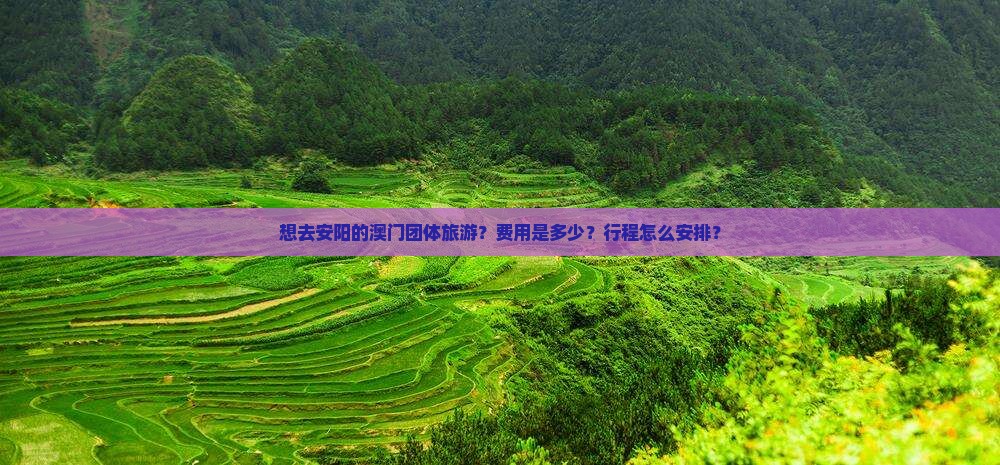 想去安阳的澳门团体旅游？费用是多少？行程怎么安排？