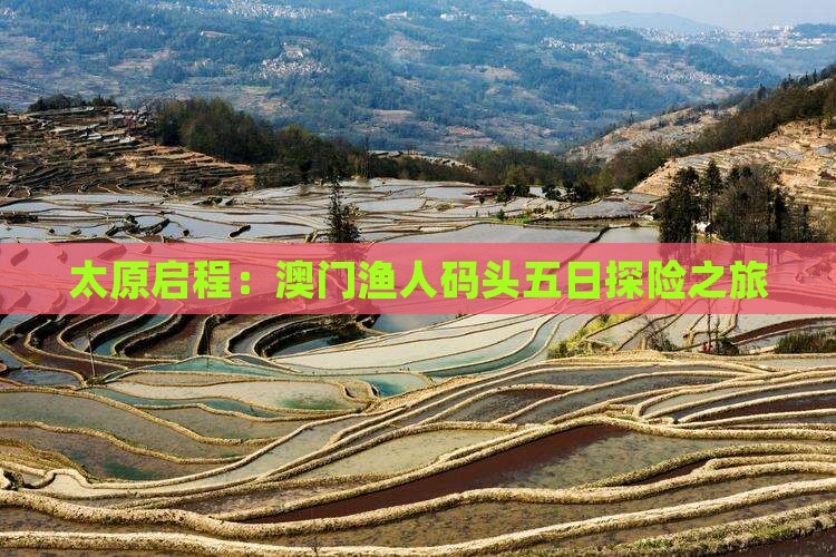 太原启程：澳门渔人码头五日探险之旅