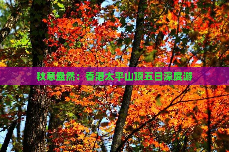 秋意盎然：香港太平山顶五日深度游