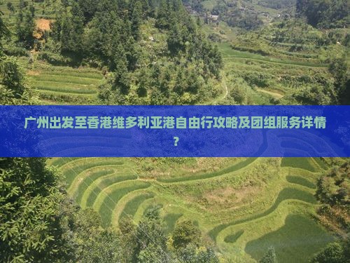 广州出发至香港维多利亚港自由行攻略及团组服务详情？