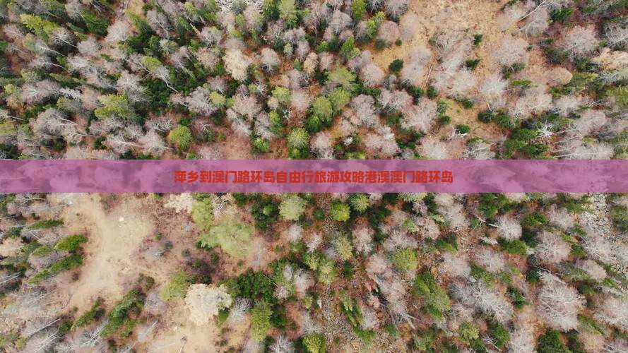 萍乡到澳门路环岛自由行旅游攻略港澳澳门路环岛