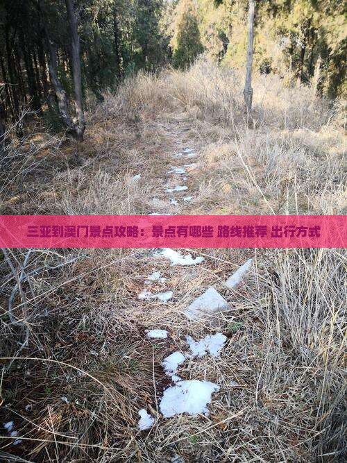 三亚到澳门景点攻略：景点有哪些+路线推荐+出行方式