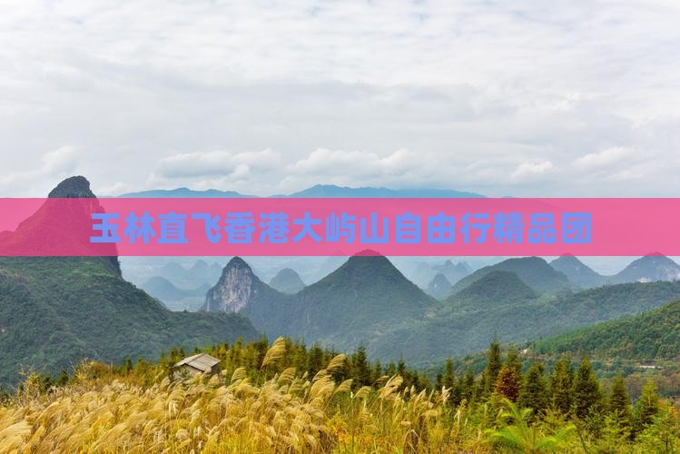 玉林直飞香港大屿山自由行精品团