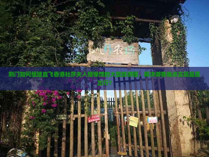 荆门如何组建直飞香港杜莎夫人蜡像馆的大型旅游团，解决游客痛点实现品质出行？