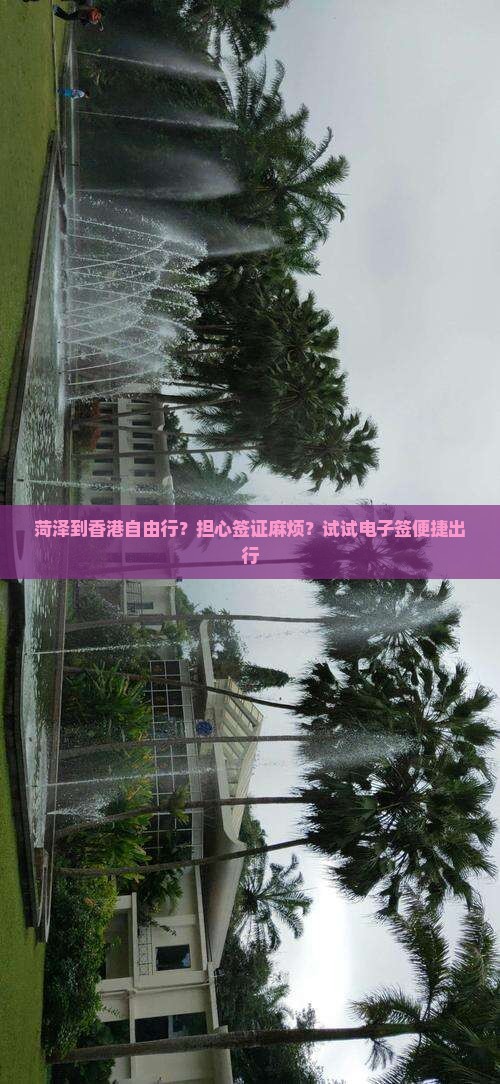 菏泽到香港自由行？担心签证麻烦？试试电子签便捷出行