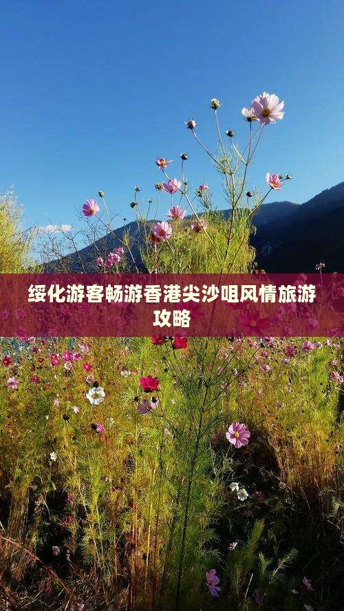 绥化游客畅游香港尖沙咀风情旅游攻略