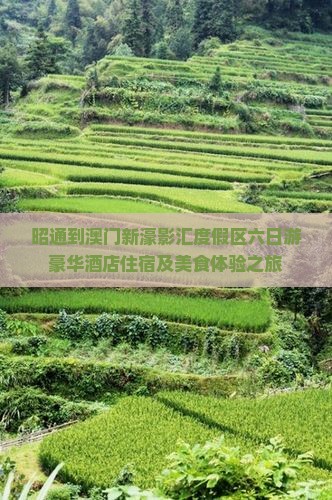 昭通到澳门新濠影汇度假区六日游豪华酒店住宿及美食体验之旅