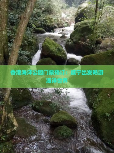 香港海洋公园门票预订：咸宁出发畅游海洋世界