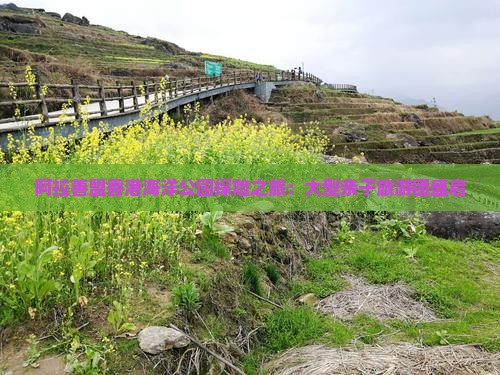阿拉善盟香港海洋公园探险之旅：大型亲子旅游团盛启
