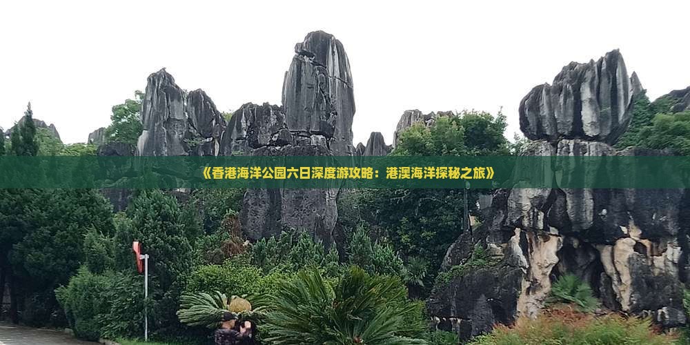 《香港海洋公园六日深度游攻略：港澳海洋探秘之旅》