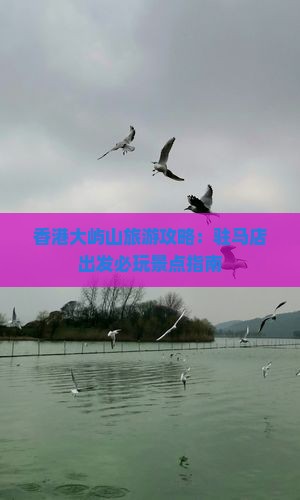 香港大屿山旅游攻略：驻马店出发必玩景点指南