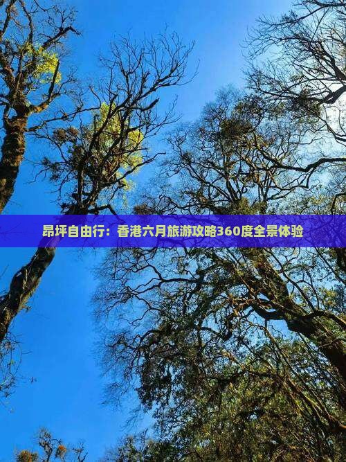 昂坪自由行：香港六月旅游攻略360度全景体验