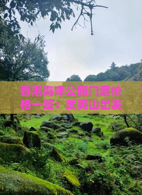 香港海洋公园门票价格一览：武夷山出发攻略