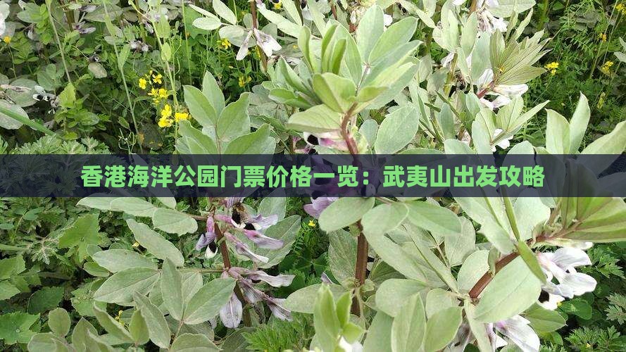 香港海洋公园门票价格一览：武夷山出发攻略