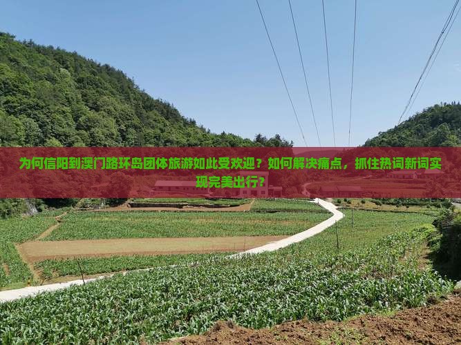 为何信阳到澳门路环岛团体旅游如此受欢迎？如何解决痛点，抓住热词新词实现完美出行？