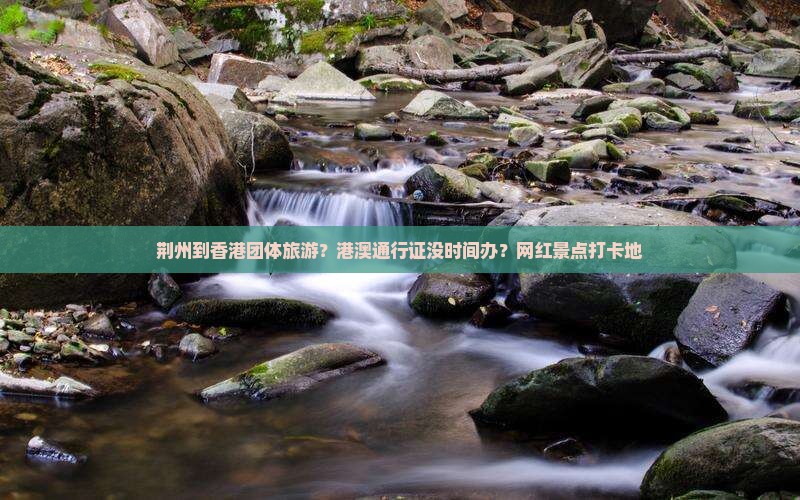 荆州到香港团体旅游？港澳通行证没时间办？网红景点打卡地