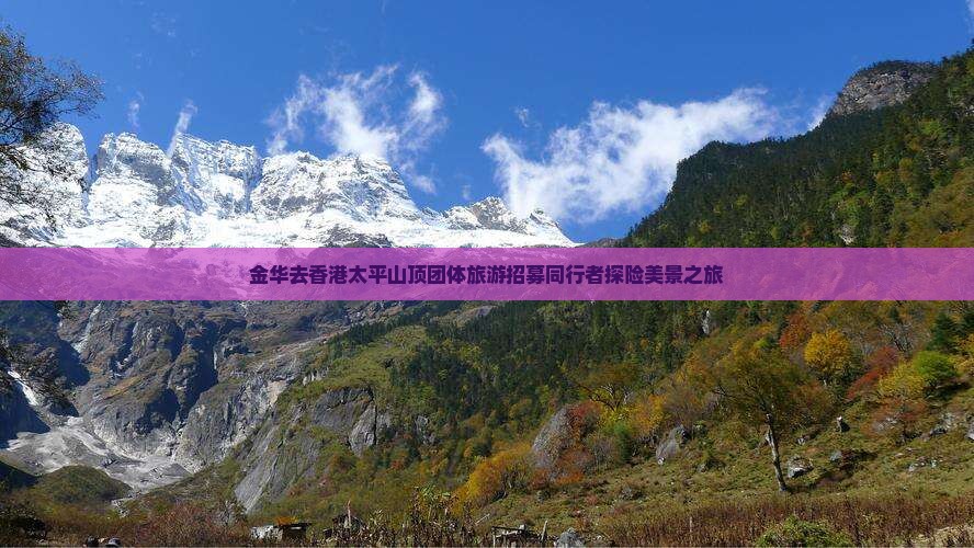 金华去香港太平山顶团体旅游招募同行者探险美景之旅