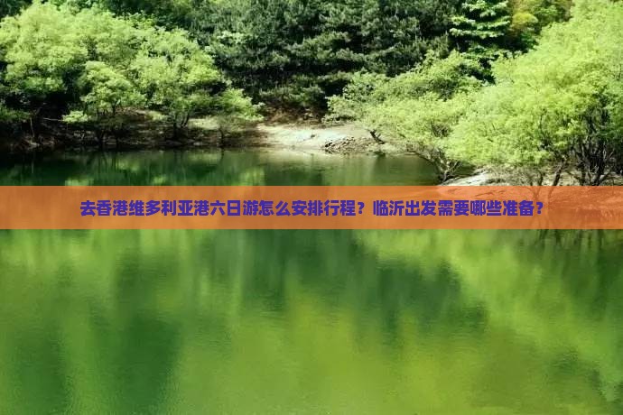 去香港维多利亚港六日游怎么安排行程？临沂出发需要哪些准备？