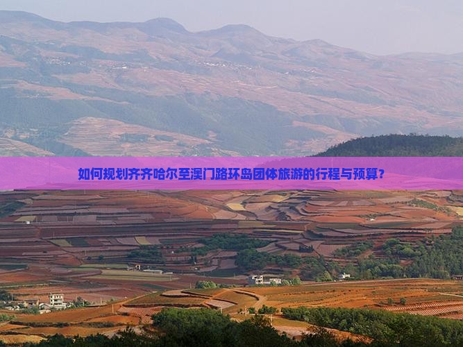 如何规划齐齐哈尔至澳门路环岛团体旅游的行程与预算？