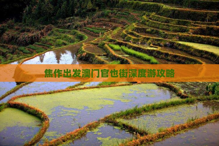 焦作出发澳门官也街深度游攻略