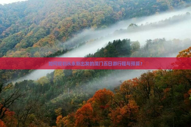 如何规划从永新出发的澳门五日游行程与预算？