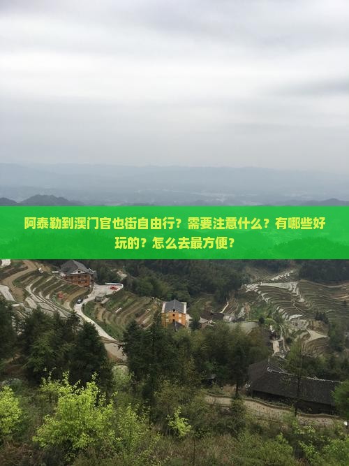 阿泰勒到澳门官也街自由行？需要注意什么？有哪些好玩的？怎么去最方便？
