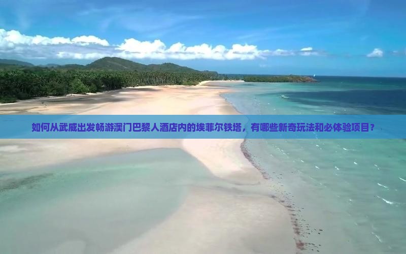 如何从武威出发畅游澳门巴黎人酒店内的埃菲尔铁塔，有哪些新奇玩法和必体验项目？