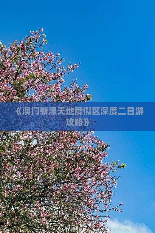 《澳门新濠天地度假区深度二日游攻略》