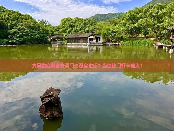 为何娄底游客去澳门必逛官也街？当地热门打卡痛点！