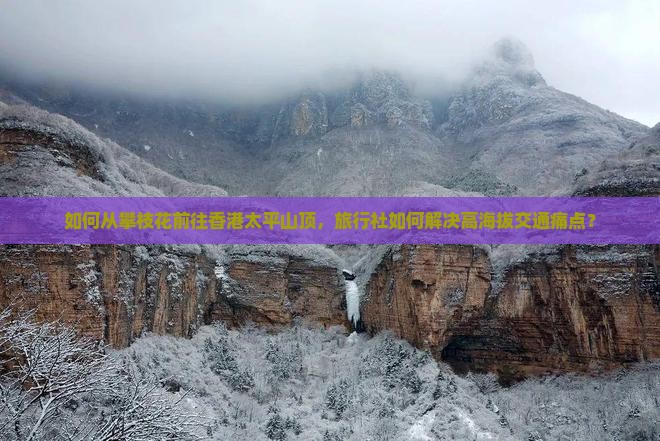 如何从攀枝花前往香港太平山顶，旅行社如何解决高海拔交通痛点？