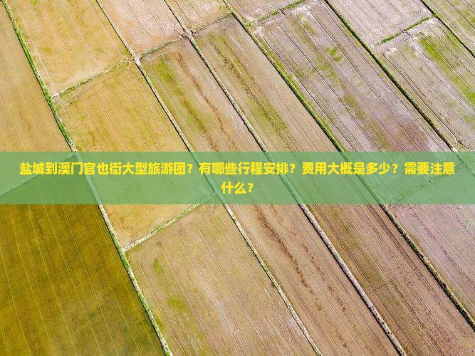 盐城到澳门官也街大型旅游团？有哪些行程安排？费用大概是多少？需要注意什么？