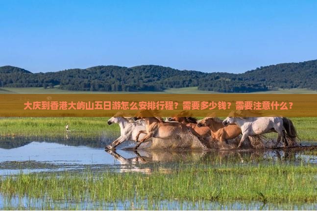 大庆到香港大屿山五日游怎么安排行程？需要多少钱？需要注意什么？