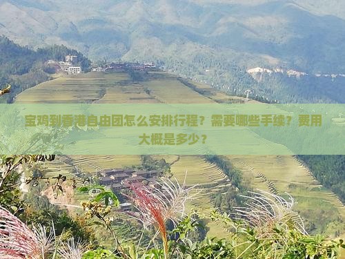 宝鸡到香港自由团怎么安排行程？需要哪些手续？费用大概是多少？
