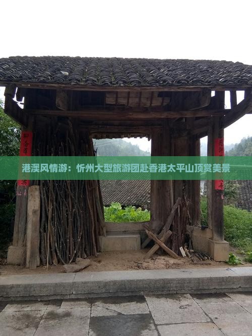 港澳风情游：忻州大型旅游团赴香港太平山顶赏美景