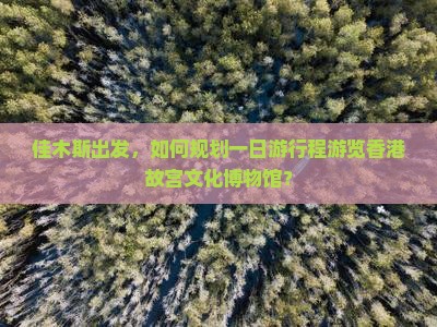 佳木斯出发，如何规划一日游行程游览香港故宫文化博物馆？