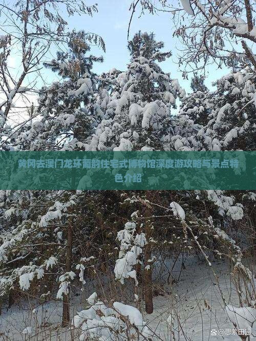 黄冈去澳门龙环葡韵住宅式博物馆深度游攻略与景点特色介绍