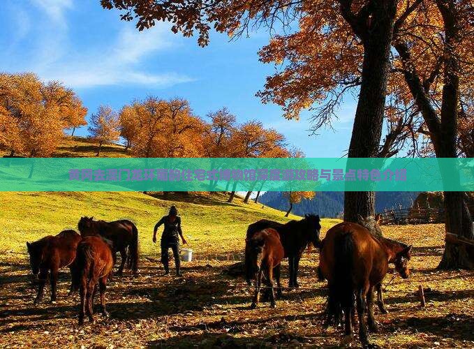 黄冈去澳门龙环葡韵住宅式博物馆深度游攻略与景点特色介绍