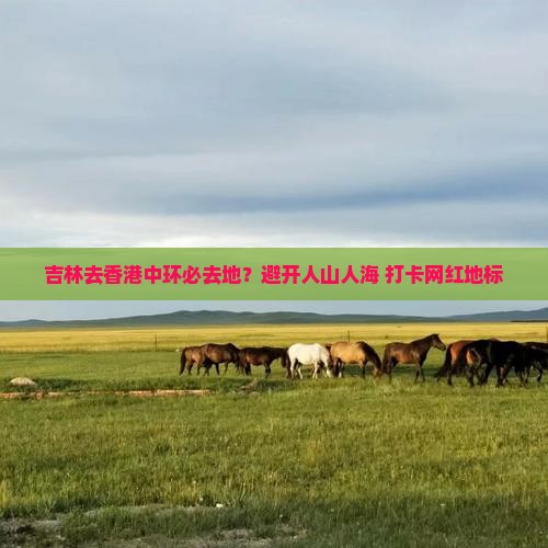 吉林去香港中环必去地？避开人山人海+打卡网红地标