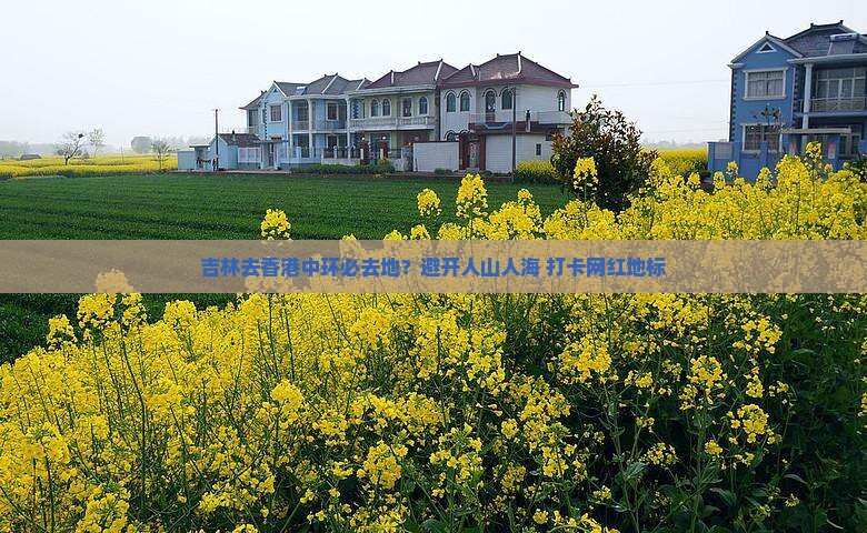 吉林去香港中环必去地？避开人山人海+打卡网红地标