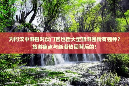 为何汉中游客对澳门官也街大型旅游团情有独钟？旅游痛点与新潮热词背后的！