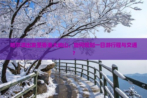 哈尔滨出发至香港大屿山，如何规划一日游行程与交通？