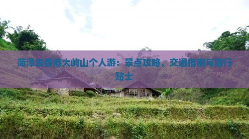 菏泽去香港大屿山个人游：景点攻略、交通指南与旅行贴士