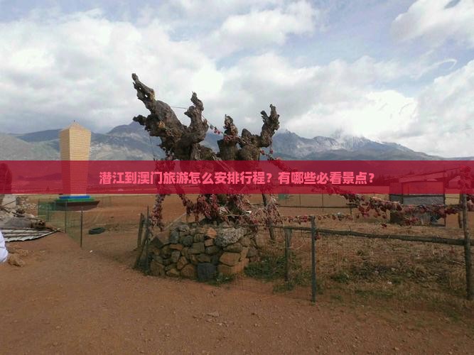 潜江到澳门旅游怎么安排行程？有哪些必看景点？