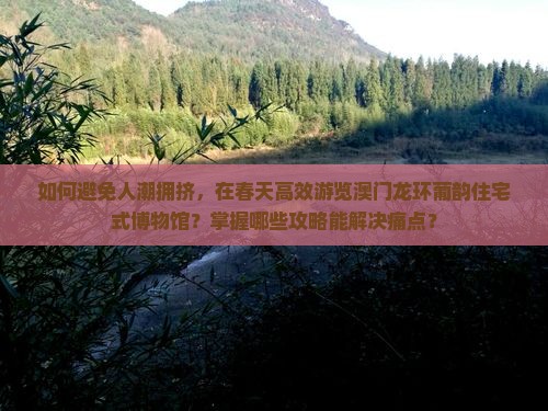 如何避免人潮拥挤，在春天高效游览澳门龙环葡韵住宅式博物馆？掌握哪些攻略能解决痛点？