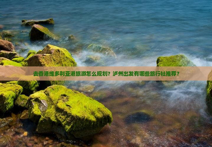 去香港维多利亚港旅游怎么规划？泸州出发有哪些旅行社推荐？